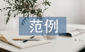 財(cái)務(wù)分析范例