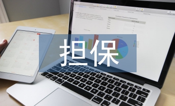小微企業(yè)融資擔(dān)保創(chuàng)新及風(fēng)險(xiǎn)防控探究