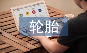 輪胎市場(chǎng)調(diào)查報(bào)告