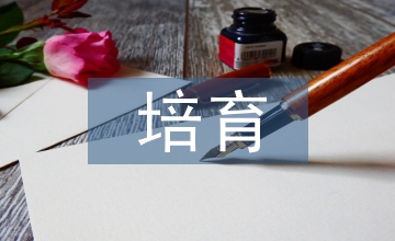核心價(jià)值觀培育
