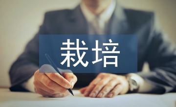 冬瓜的栽培與種植技術(shù)